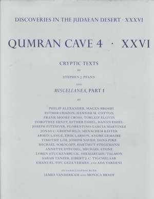 Qumran Cave 4 de Stephen Pfann