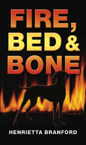 Rollercoasters: Fire, Bed and Bone Class Pack de Henrietta Branford