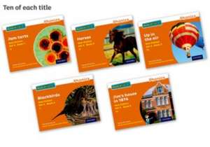 Read Write Inc. Phonics: Orange Set 4 Non-fiction books (Pack of 50) de Gill Munton