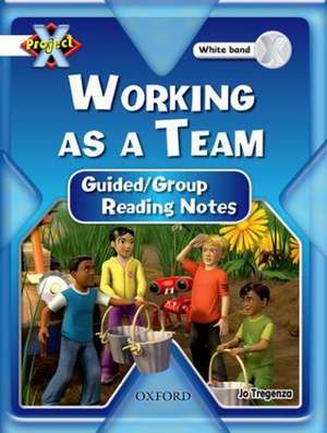 Project X: Working As A Team: Teaching Notes de Jo Tregenza