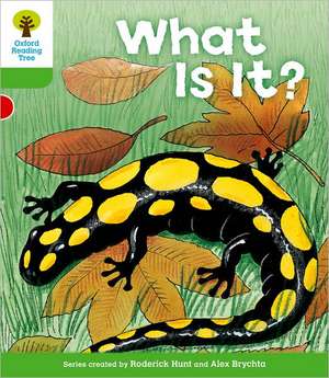 Oxford Reading Tree: Level 2: More Patterned Stories A: What Is It? de Roderick Hunt