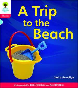 Oxford Reading Tree: Level 4: Floppy's Phonics Non-Fiction: Pack of 6 de Clare Llewellyn