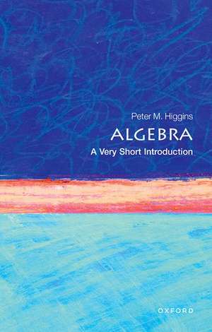 Algebra: A Very Short Introduction de Peter M. Higgins