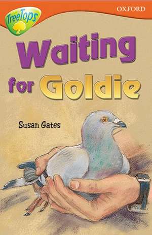 Oxford Reading Tree: Level 13: TreeTops Stories: Waiting for Goldie de Susan Gates