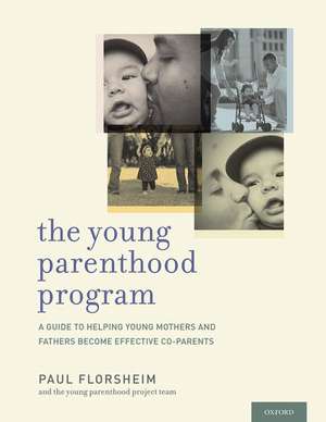 The Young Parenthood Program: A Guide to Helping Young Mothers and Fathers Become Effective Co-Parents de Paul Florsheim