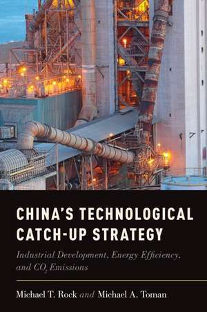 China's Technological Catch-Up Strategy: Industrial Development, Energy Efficiency, and CO2 Emissions de Michael T. Rock