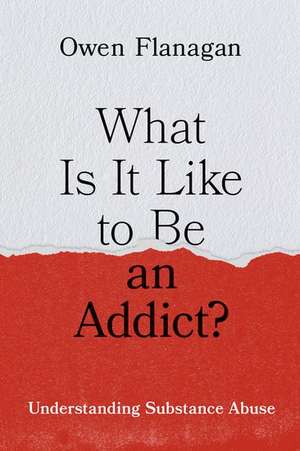 What Is It Like to Be an Addict?: Understanding Substance Abuse de Owen Flanagan