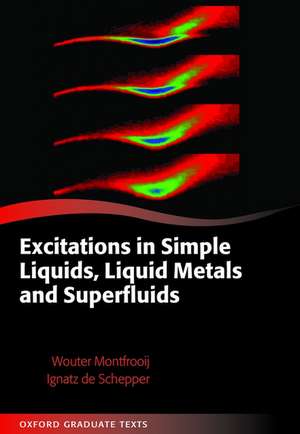 Excitations in Simple Liquids, Liquid Metals and Superfluids de Wouter Montfrooij