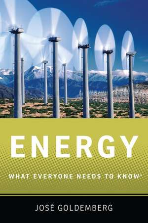 Energy: What Everyone Needs to Know® de José Goldemberg