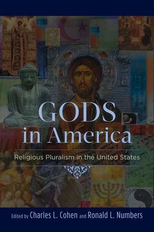 Gods in America: Religious Pluralism in the United States de Charles L. Cohen