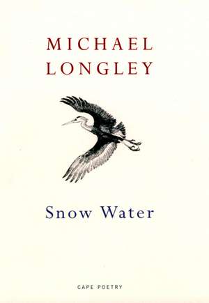 Snow Water de Michael Longley