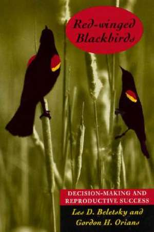 Red-winged Blackbirds: Decision-making and Reproductive Success de Les D. Beletsky