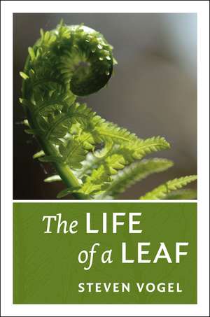 The Life of a Leaf de Steven Vogel