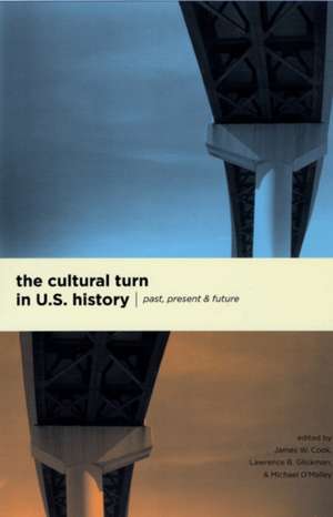 The Cultural Turn in U. S. History: Past, Present, and Future de James W. Cook