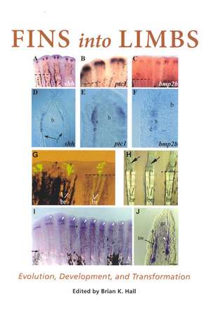 Fins into Limbs: Evolution, Development, and Transformation de Brian K. Hall