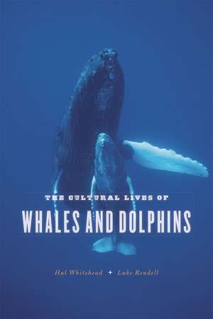 The Cultural Lives of Whales and Dolphins de Hal Whitehead