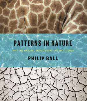 Patterns in Nature: Why the Natural World Looks the Way It Does de Philip Ball