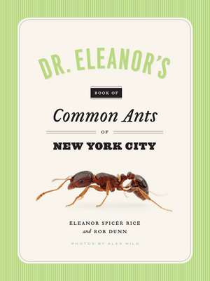 Dr. Eleanor's Book of Common Ants of New York City de Eleanor Spicer Rice