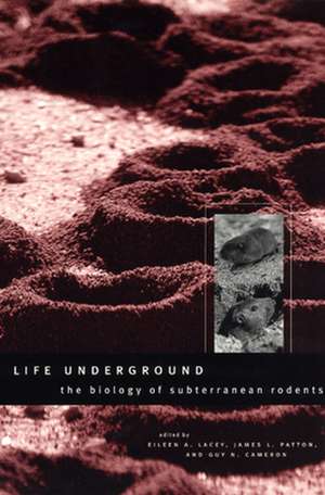 Life Underground: The Biology of Subterranean Rodents de Eileen A. Lacey