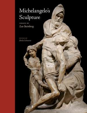 Michelangelo’s Sculpture: Selected Essays de Leo Steinberg