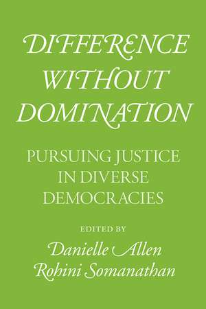 Difference without Domination: Pursuing Justice in Diverse Democracies de Danielle Allen