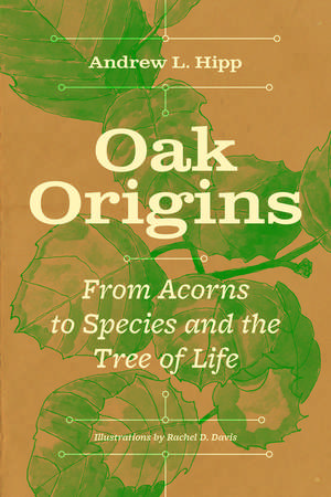 Oak Origins: From Acorns to Species and the Tree of Life de Andrew L. Hipp