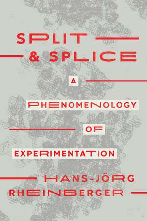 Split and Splice – A Phenomenology of Experimentation de Hans–jörg Rheinberger