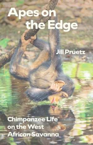 Apes on the Edge: Chimpanzee Life on the West African Savanna de Jill Pruetz