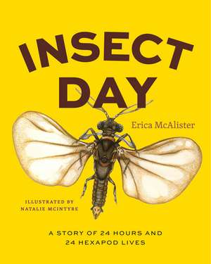 Insect Day: A Story of 24 Hours and 24 Hexapod Lives de Erica McAlister