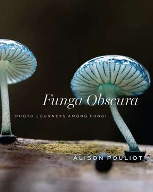 Funga Obscura: Photo Journeys Among Fungi de Alison Pouliot
