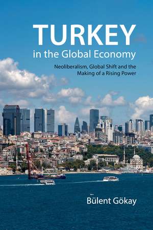 Turkey in the Global Economy: Neoliberalism, Global Shift, and the Making of a Rising Power de Bülent Gökay