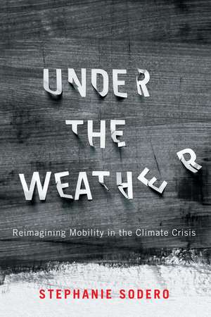 Under the Weather de Stephanie Sodero