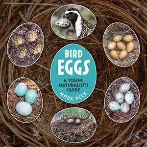 Bird Eggs de Mark Peck