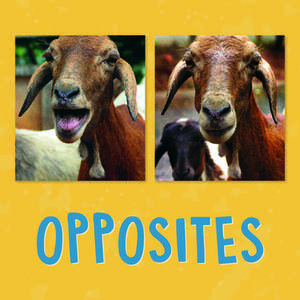 Opposites de Kathy Knowles