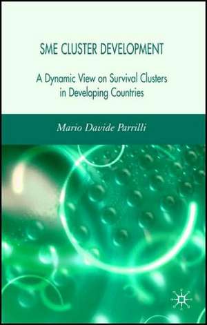 SME Cluster Development: A Dynamic View of Survival Clusters in Developing Countries de M. Parrilli