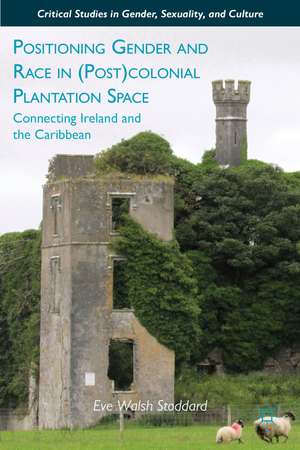 Positioning Gender and Race in (Post)colonial Plantation Space: Connecting Ireland and the Caribbean de E. Stoddard