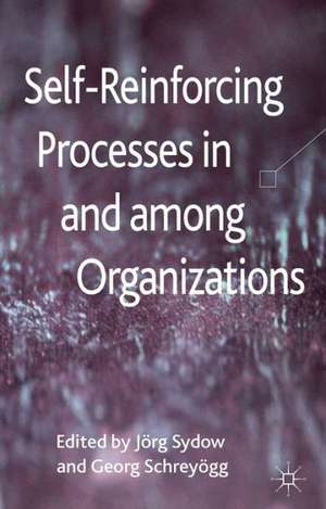 Self-Reinforcing Processes in and among Organizations de J. Sydow