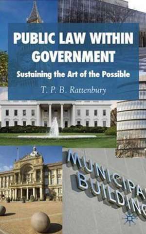 Public Law within Government: Sustaining the Art of the Possible de T. P. B. Rattenbury