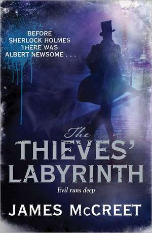 THIEVES LABYRINTH