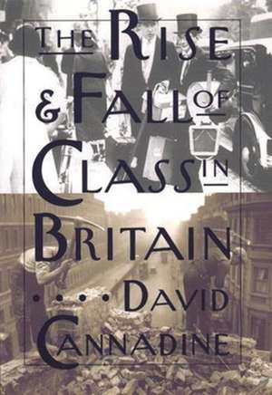 The Rise and Fall of Class in Britain: Lesbians Talk Sex, Class, Color, Nation, Studmuffins de David Cannadine