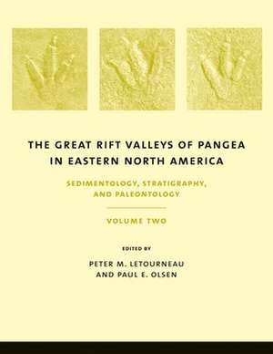 The Great Rift Valleys of Pangea in Eastern North America – Tectonics, Structure and Volcanism Vol 1 de Peter Letourneau