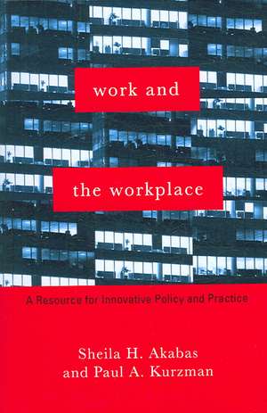 Work and the Workplace – A Resource for Innovative Policy and Practice de Sheila Akabas