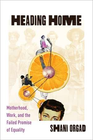 Heading Home – Motherhood, Work, and the Failed Promise of Equality de Shani Orgad