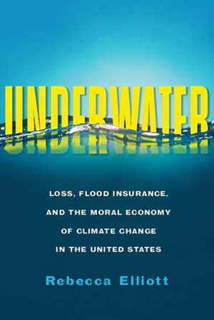 Underwater – Loss, Flood Insurance, and the Moral Economy of Climate Change in the United States de Rebecca Elliott