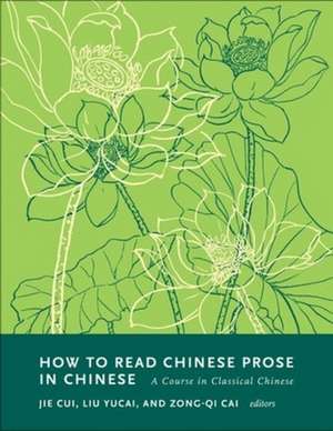 How to Read Chinese Prose in Chinese – A Course in Classical Chinese de Zong–qi Cai