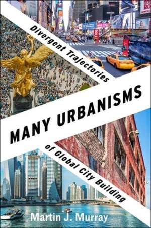 Many Urbanisms – Divergent Trajectories of Global City Building de Martin J. Murray