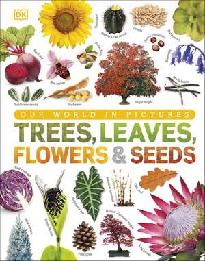 Our World in Pictures: Trees, Leaves, Flowers & Seeds de DK