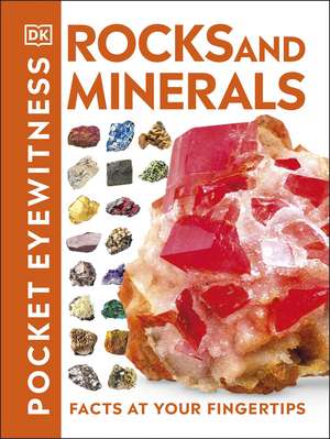 Pocket Eyewitness Rocks and Minerals: Facts at Your Fingertips de DK