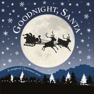 Goodnight, Santa: A Magical Christmas Story de DK