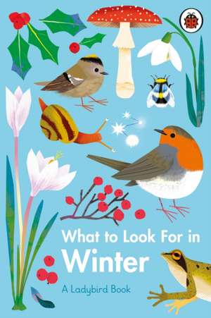 What to Look For in Winter de Elizabeth Jenner